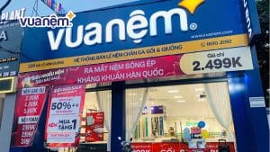 8 Địa chỉ mua nệm bông ép uy tín, giá tốt tại Bình Dương