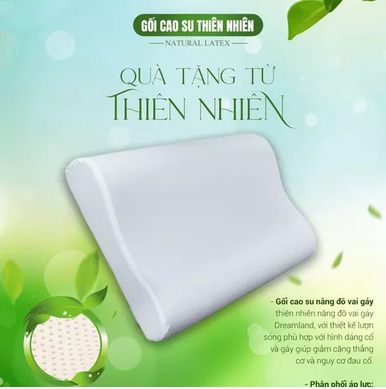 Gối Cao su Dreamland nâng đỡ vai gáy 